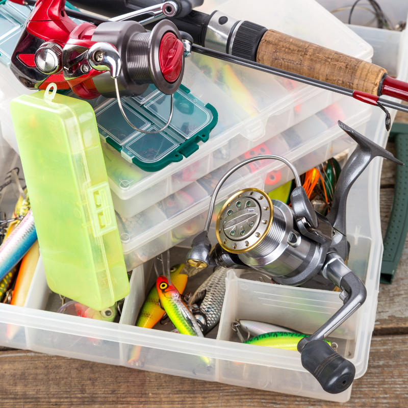 Stay Organized